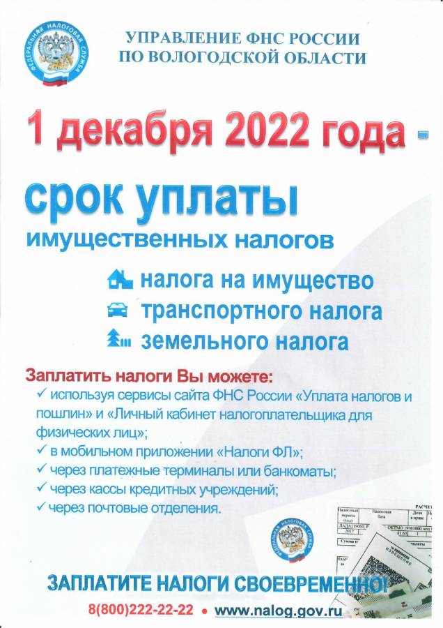 Налоги до 1 декабря. Уплата имущественных налогов. Налоги уплата 1 декабря. Имущественный налог до 1 декабря. Оплатить налоги до 1 декабря 2022.